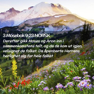 Picture 02 - 3 Mosebok 9:23 NORSK - Derefter gikk Moses og Aron inn i sammenkomstens - Bible Verse Picture