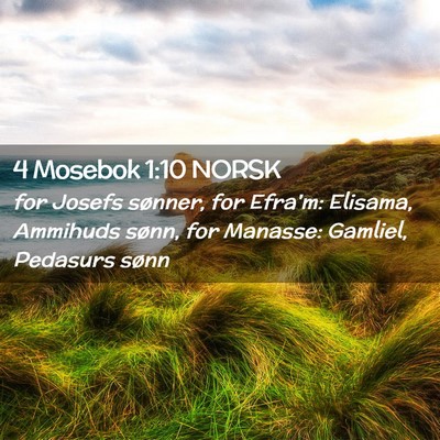 Picture 02 - 4 Mosebok 1:10 NORSK - for Josefs sønner, for Efra'm: Elisama, Ammihuds - Bible Verse Picture