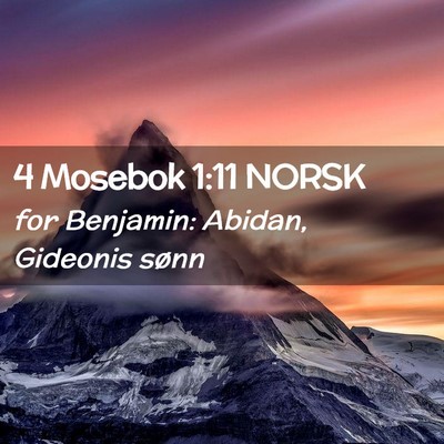 Picture 02 - 4 Mosebok 1:11 NORSK - for Benjamin: Abidan, Gideonis - Bible Verse Picture