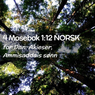 Picture 02 - 4 Mosebok 1:12 NORSK - for Dan: Akieser, Ammisaddais - Bible Verse Picture
