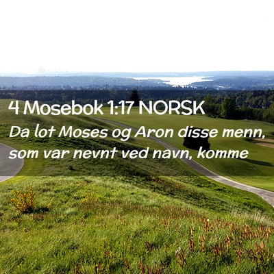 Picture 02 - 4 Mosebok 1:17 NORSK - Da lot Moses og Aron disse menn, som var nevnt - Bible Verse Picture