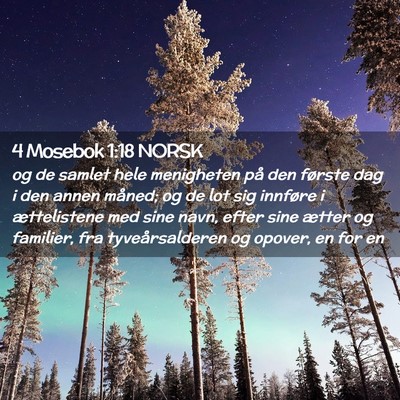 Picture 02 - 4 Mosebok 1:18 NORSK - og de samlet hele menigheten på den første dag - Bible Verse Picture