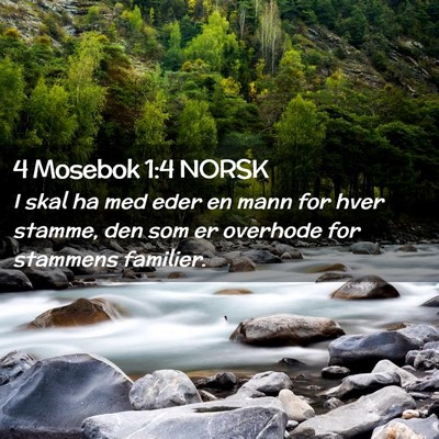 Picture 02 - 4 Mosebok 1:4 NORSK - I skal ha med eder en mann for hver stamme, den - Bible Verse Picture