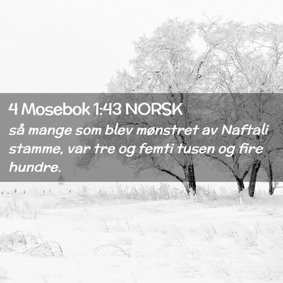 Picture 02 - 4 Mosebok 1:43 NORSK - så mange som blev mønstret av Naftali stamme, - Bible Verse Picture