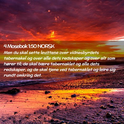 Picture 02 - 4 Mosebok 1:50 NORSK - Men du skal sette levittene over vidnesbyrdets - Bible Verse Picture