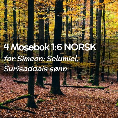 Picture 02 - 4 Mosebok 1:6 NORSK - for Simeon: Selumiel, Surisaddais - Bible Verse Picture