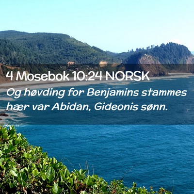 Picture 02 - 4 Mosebok 10:24 NORSK - Og høvding for Benjamins stammes hær var - Bible Verse Picture