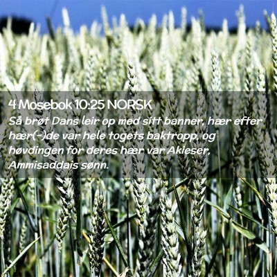 Picture 02 - 4 Mosebok 10:25 NORSK - Så brøt Dans leir op med sitt banner, hær - Bible Verse Picture