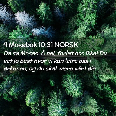 Picture 02 - 4 Mosebok 10:31 NORSK - Da sa Moses: Å nei, forlat oss ikke! Du vet jo - Bible Verse Picture