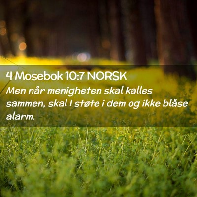 Picture 02 - 4 Mosebok 10:7 NORSK - Men når menigheten skal kalles sammen, skal I - Bible Verse Picture