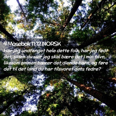 Picture 02 - 4 Mosebok 11:12 NORSK - Har jeg undfanget hele dette folk, har jeg født - Bible Verse Picture