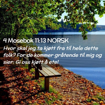 Picture 02 - 4 Mosebok 11:13 NORSK - Hvor skal jeg ta kjøtt fra til hele dette folk? - Bible Verse Picture
