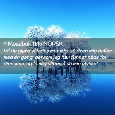 Picture 02 - 4 Mosebok 11:15 NORSK - Vil du gjøre således mot mig, så drep mig - Bible Verse Picture