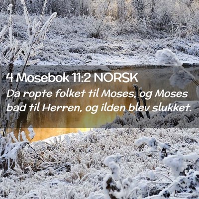 Picture 02 - 4 Mosebok 11:2 NORSK - Da ropte folket til Moses, og Moses bad til - Bible Verse Picture