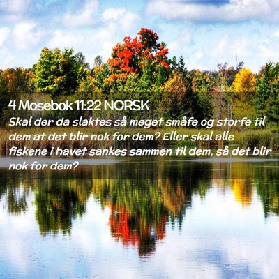 Picture 02 - 4 Mosebok 11:22 NORSK - Skal der da slaktes så meget småfe og storfe - Bible Verse Picture