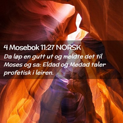 Picture 02 - 4 Mosebok 11:27 NORSK - Da løp en gutt ut og meldte det til Moses og sa: - Bible Verse Picture