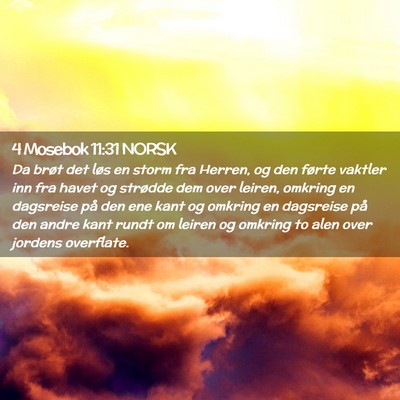 Picture 02 - 4 Mosebok 11:31 NORSK - Da brøt det løs en storm fra Herren, og den - Bible Verse Picture