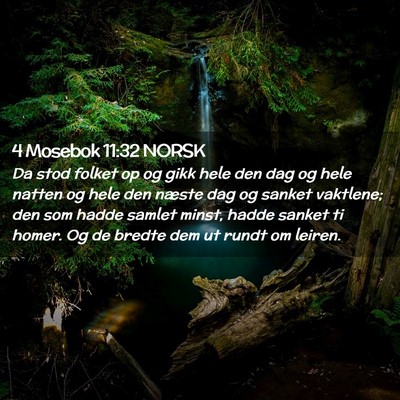 Picture 02 - 4 Mosebok 11:32 NORSK - Da stod folket op og gikk hele den dag og hele - Bible Verse Picture