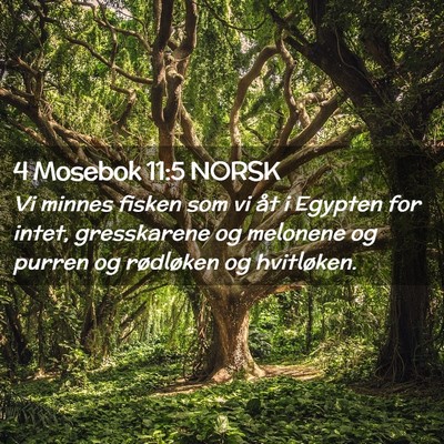 Picture 02 - 4 Mosebok 11:5 NORSK - Vi minnes fisken som vi åt i Egypten for intet, - Bible Verse Picture