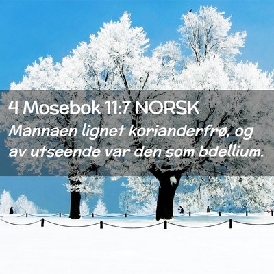 Picture 02 - 4 Mosebok 11:7 NORSK - Mannaen lignet korianderfrø, og av utseende var - Bible Verse Picture