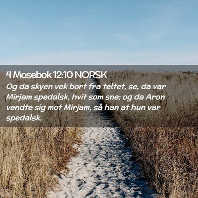 Picture 02 - 4 Mosebok 12:10 NORSK - Og da skyen vek bort fra teltet, se, da var - Bible Verse Picture