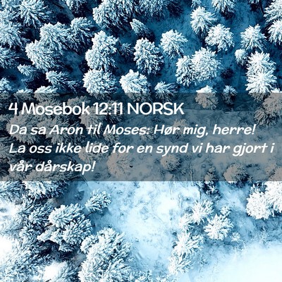 Picture 02 - 4 Mosebok 12:11 NORSK - Da sa Aron til Moses: Hør mig, herre! La oss - Bible Verse Picture