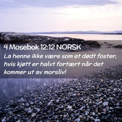 Picture 02 - 4 Mosebok 12:12 NORSK - La henne ikke være som et dødt foster, hvis - Bible Verse Picture