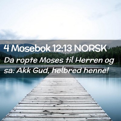Picture 02 - 4 Mosebok 12:13 NORSK - Da ropte Moses til Herren og sa: Akk Gud, helbred - Bible Verse Picture