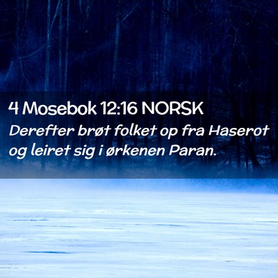 Picture 02 - 4 Mosebok 12:16 NORSK - Derefter brøt folket op fra Haserot og leiret - Bible Verse Picture