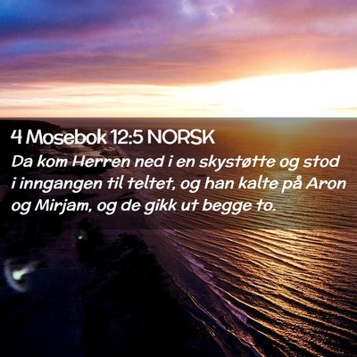Picture 02 - 4 Mosebok 12:5 NORSK - Da kom Herren ned i en skystøtte og stod i - Bible Verse Picture