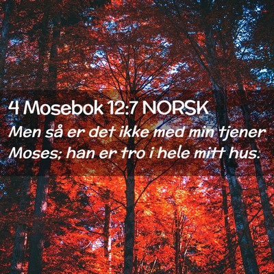 Picture 02 - 4 Mosebok 12:7 NORSK - Men så er det ikke med min tjener Moses; han er - Bible Verse Picture