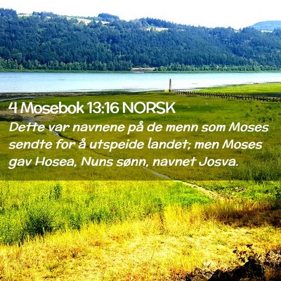 Picture 02 - 4 Mosebok 13:16 NORSK - Dette var navnene på de menn som Moses sendte - Bible Verse Picture