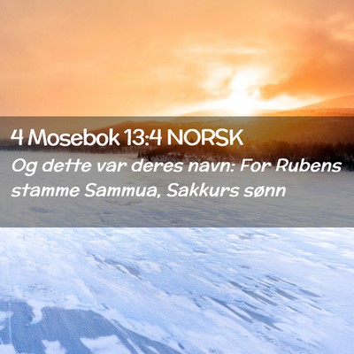 Picture 02 - 4 Mosebok 13:4 NORSK - Og dette var deres navn: For Rubens stamme - Bible Verse Picture