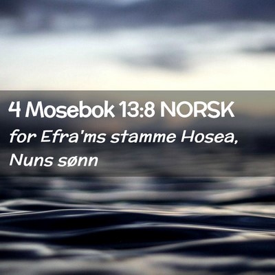 Picture 02 - 4 Mosebok 13:8 NORSK - for Efra'ms stamme Hosea, Nuns - Bible Verse Picture