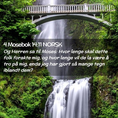 Picture 02 - 4 Mosebok 14:11 NORSK - Og Herren sa til Moses: Hvor lenge skal dette - Bible Verse Picture