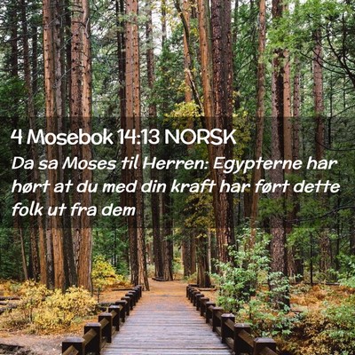 Picture 02 - 4 Mosebok 14:13 NORSK - Da sa Moses til Herren: Egypterne har hørt at du - Bible Verse Picture