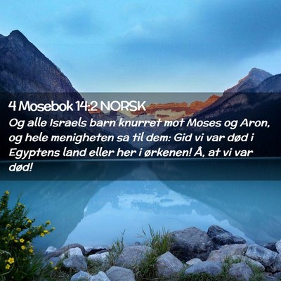 Picture 02 - 4 Mosebok 14:2 NORSK - Og alle Israels barn knurret mot Moses og Aron, - Bible Verse Picture