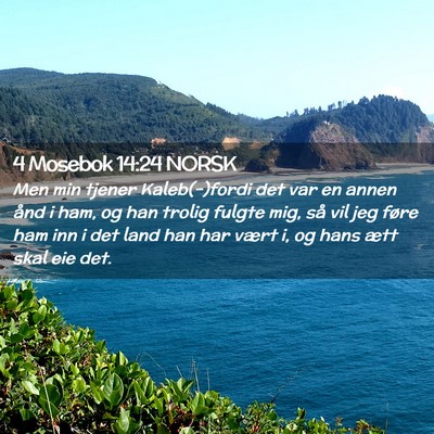 Picture 02 - 4 Mosebok 14:24 NORSK - Men min tjener Kaleb(-)fordi det var en annen - Bible Verse Picture