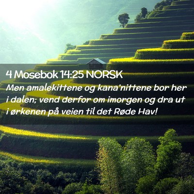 Picture 02 - 4 Mosebok 14:25 NORSK - Men amalekittene og kana'nittene bor her i dalen; - Bible Verse Picture