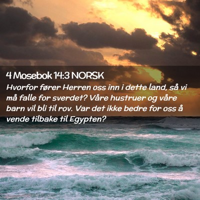 Picture 02 - 4 Mosebok 14:3 NORSK - Hvorfor fører Herren oss inn i dette land, så - Bible Verse Picture