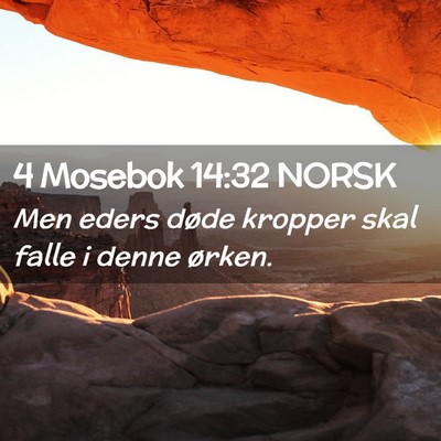 Picture 02 - 4 Mosebok 14:32 NORSK - Men eders døde kropper skal falle i denne - Bible Verse Picture