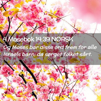 Picture 02 - 4 Mosebok 14:39 NORSK - Og Moses bar disse ord frem for alle Israels - Bible Verse Picture
