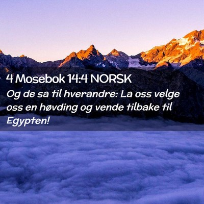 Picture 02 - 4 Mosebok 14:4 NORSK - Og de sa til hverandre: La oss velge oss en - Bible Verse Picture