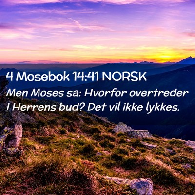 Picture 02 - 4 Mosebok 14:41 NORSK - Men Moses sa: Hvorfor overtreder I Herrens bud? - Bible Verse Picture