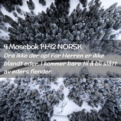 Picture 02 - 4 Mosebok 14:42 NORSK - Dra ikke der op! For Herren er ikke blandt eder, - Bible Verse Picture