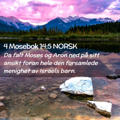 Picture 02 - 4 Mosebok 14:5 NORSK - Da falt Moses og Aron ned på sitt ansikt foran - Bible Verse Picture