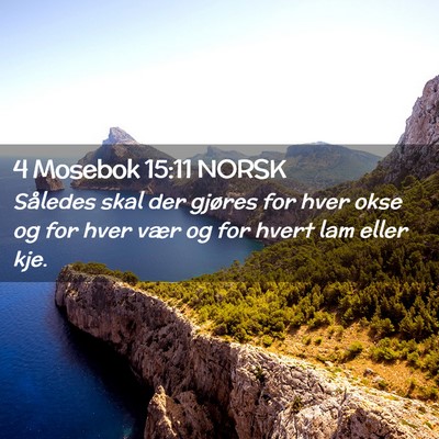 Picture 02 - 4 Mosebok 15:11 NORSK - Således skal der gjøres for hver okse og for - Bible Verse Picture