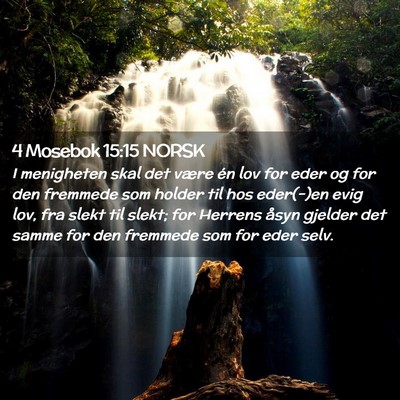 Picture 02 - 4 Mosebok 15:15 NORSK - I menigheten skal det være én lov for eder og - Bible Verse Picture