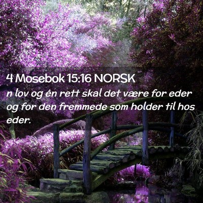 Picture 02 - 4 Mosebok 15:16 NORSK - n lov og én rett skal det være for eder og for - Bible Verse Picture