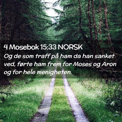 Picture 02 - 4 Mosebok 15:33 NORSK - Og de som traff på ham da han sanket ved, førte - Bible Verse Picture
